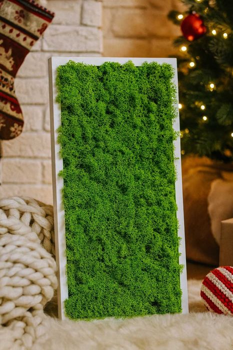 Tablou cu licheni stabilizati - Cadoul perfect pentru Craciun 70x30 cm