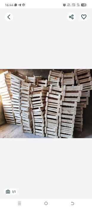 Ящик однорядный 50