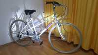 Bicicleta Dame Oras Retro 1992 Panasonic Restaurat Japan Vintage