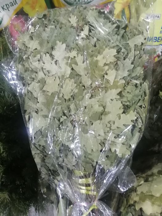 Все для бани и сауны