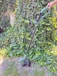 Trimmer electric Bosch