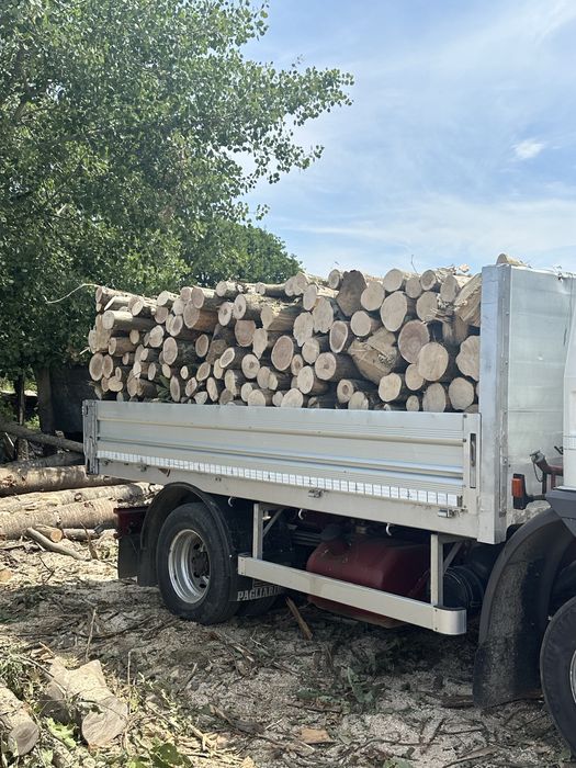 Lemne de foc esenta tare