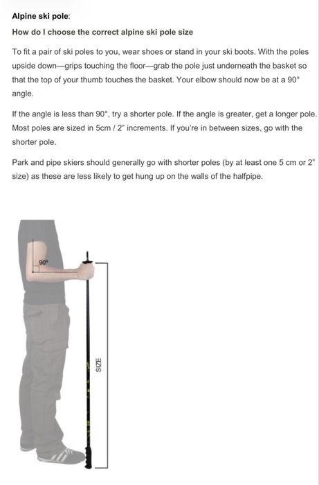Bete schi Fischer Pro JR