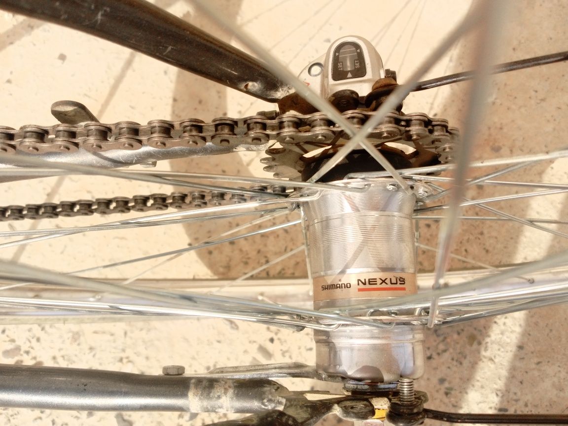 Velosiped Wasat 28'