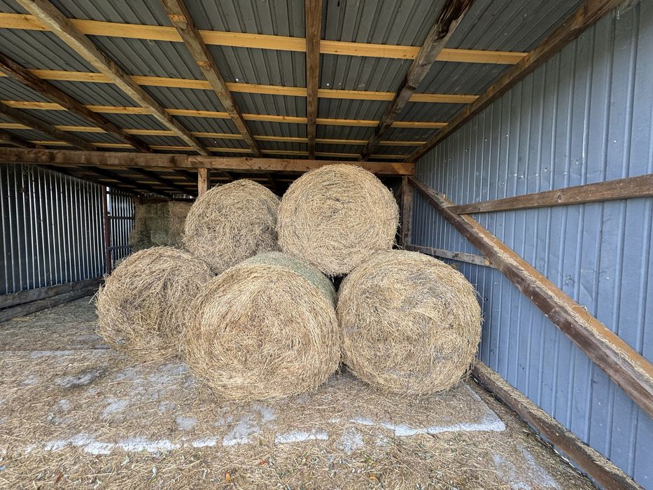 Vand baloti de lucerna