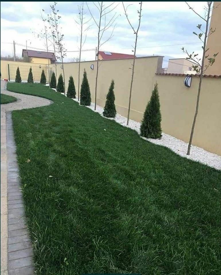 Gazon rulou sport caliate extra oriunde in tara