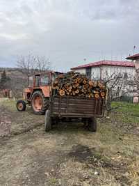 Lemne foc esențâ prun