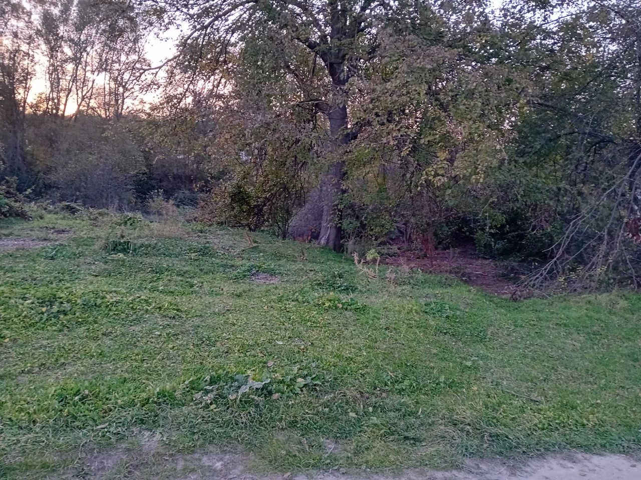 Продава се Парцел в с. Садово, Област Варна - 610 кв.м за 15 €/кв.м - Снимка #1