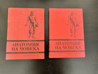 Анатомия на човека, проф. Койчев, Част 1 и Част 2, 1995-1996