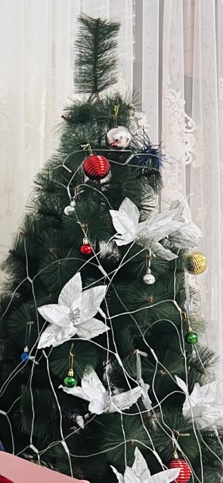 Ёлка сатылады!!!