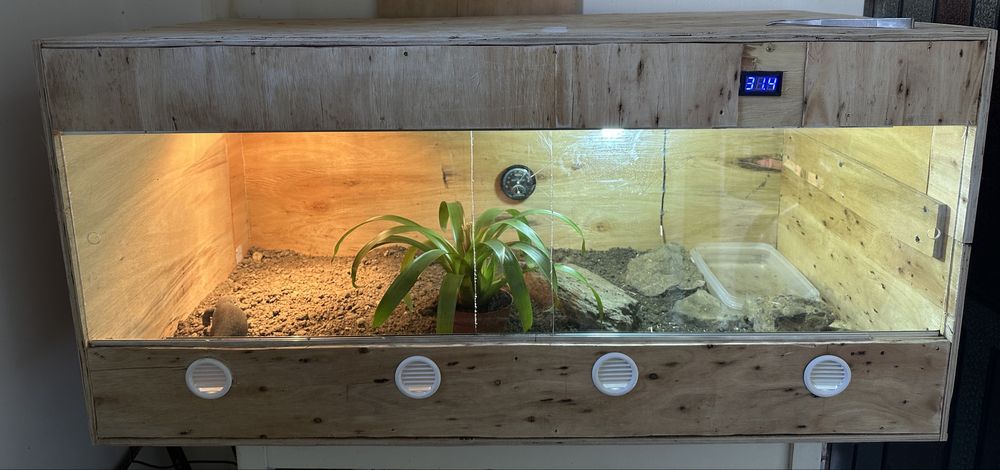 Vand monitor de savana reptila talie mare