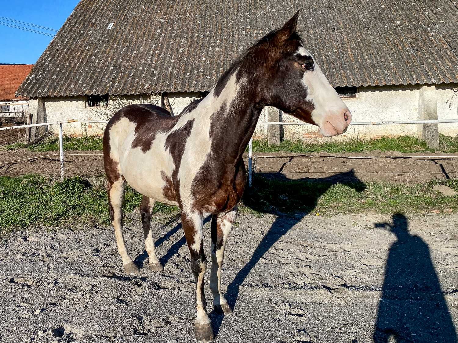 Iapa de sport si echitatie