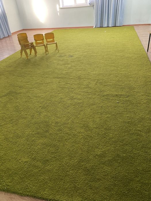 Газон кілем жасыл түсті балабақшаға