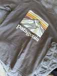 Футболка patagonia