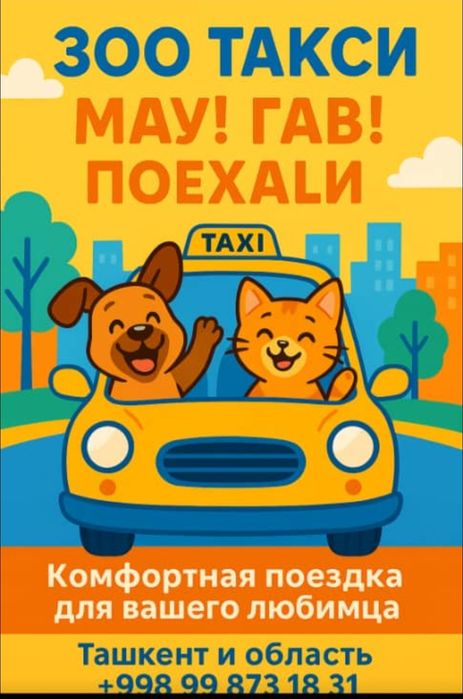 Перевозка животных. Zoo taxi