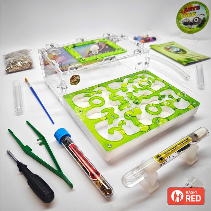 ГИПСОВЫЙ Формикарий "ADVANCED" ||| Муравьиная ферма - Муравьи жнецы