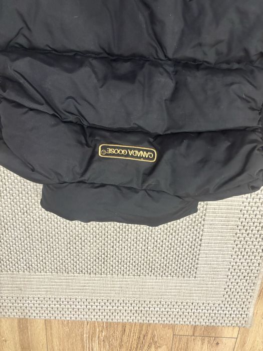 Vesta Canada Goose barbat L