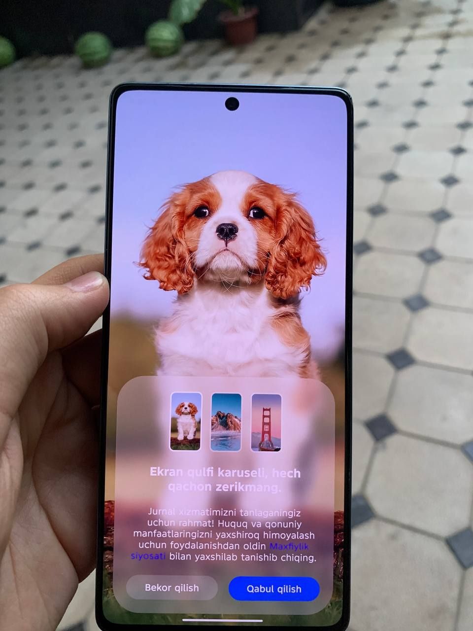 Infinix gt 20 pro max