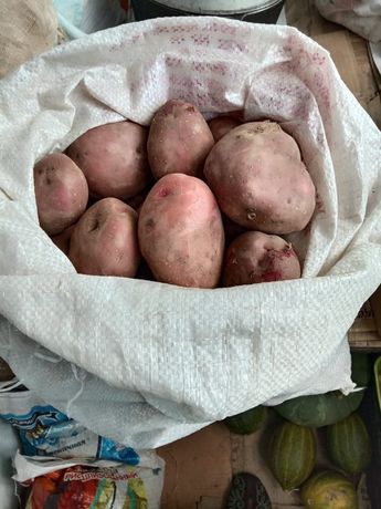 Продам картошку мешками