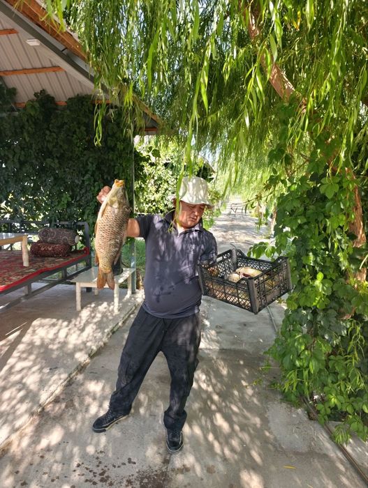 Отдых и рыбалка ЭКО Орол проточная вода очень вкусная рыба