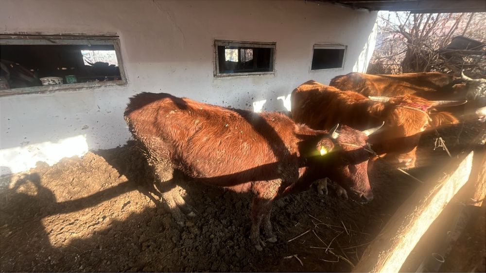 Ассалам алейкумм