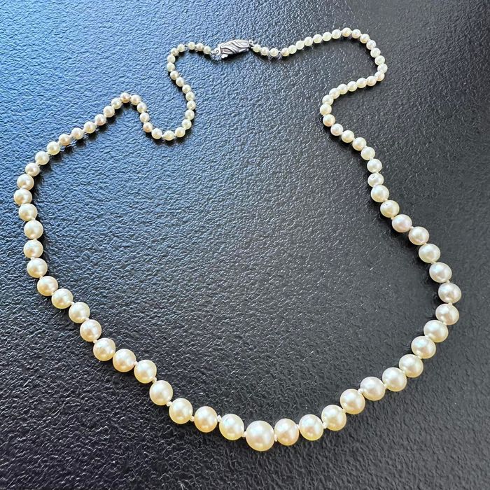 Perle naturale Akoya apă sărată 
50 cm inchezatore din argint