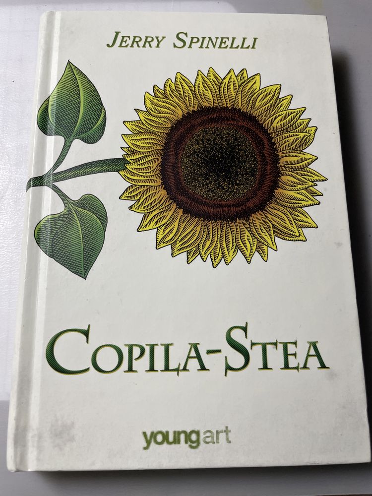 Cartea “Copila-Stea”- Jerry Spinelli