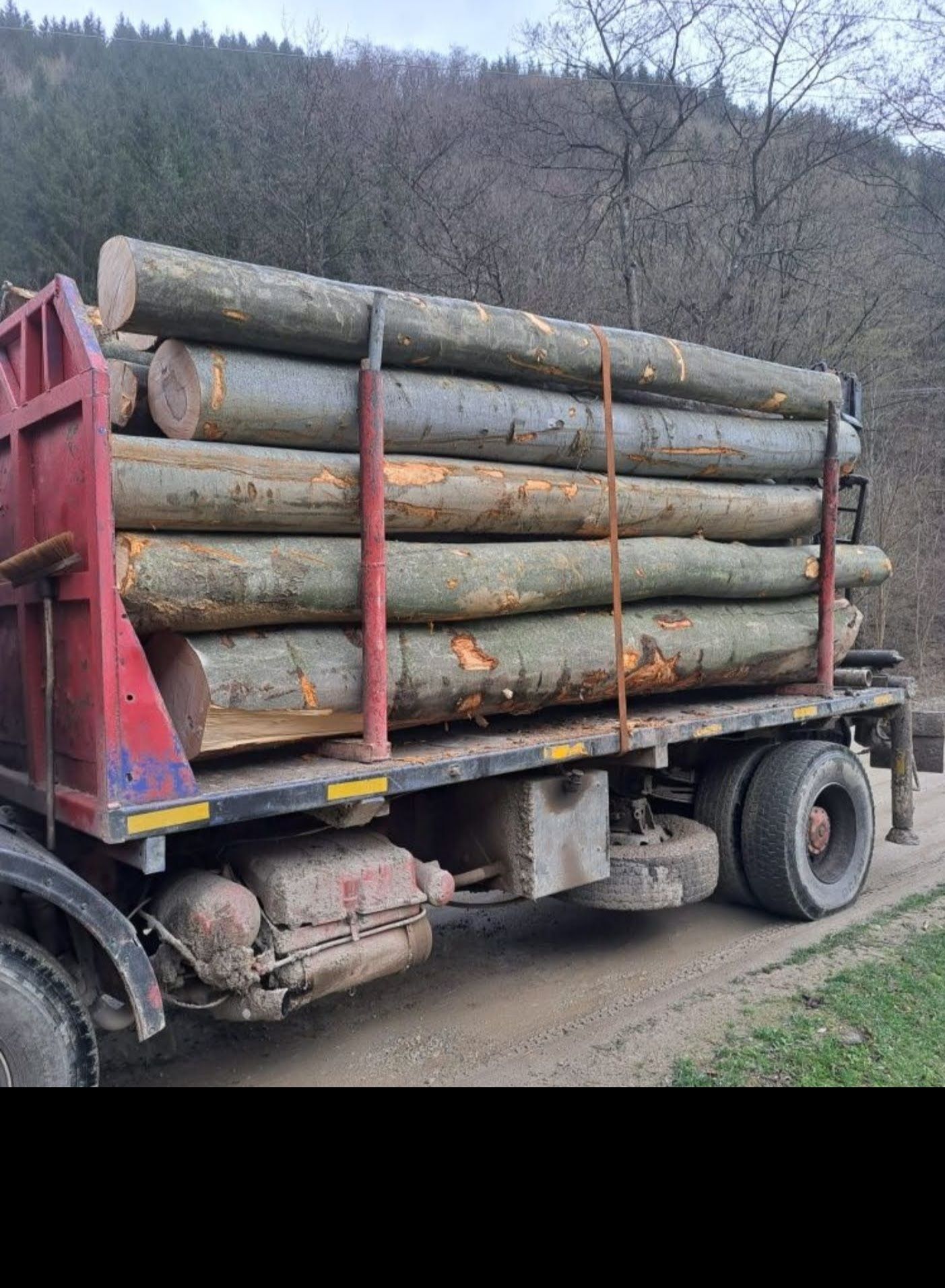 Vand camion cu macara forestiera