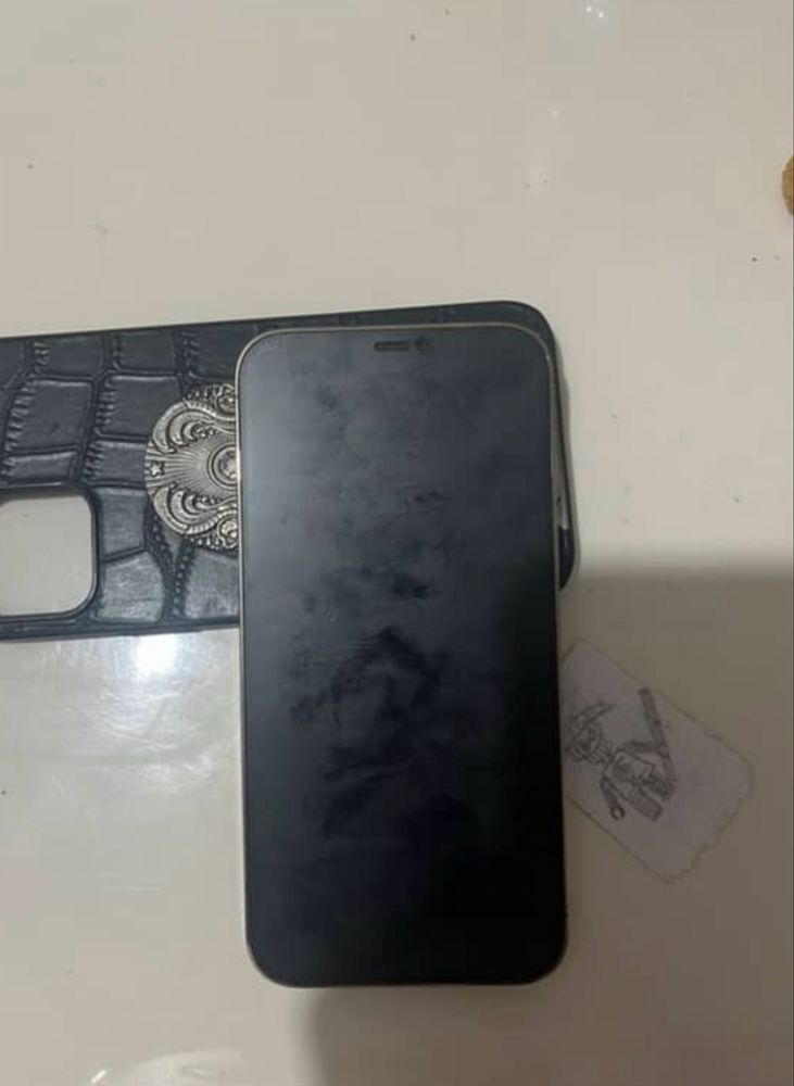 iPhone 12 pro max 256
