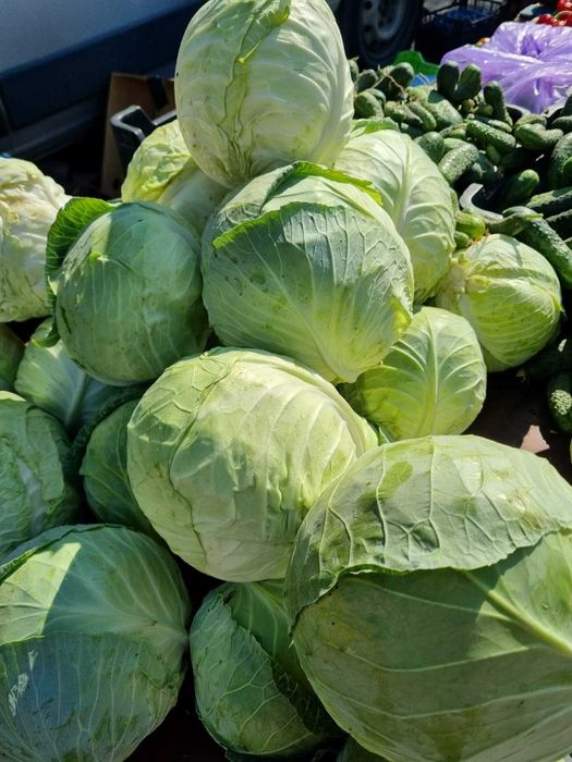 Varză bună la ofertă