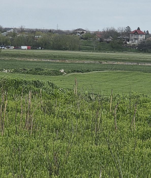 Teren intravilan negociabil