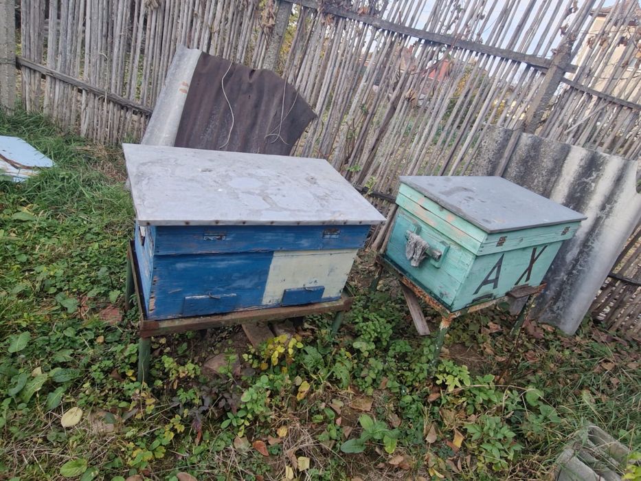 Vand stupi pentru albine