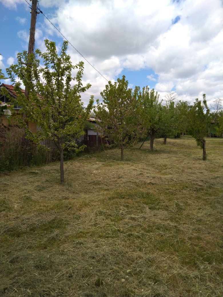 Овощна градина с плодородни дръвчета.