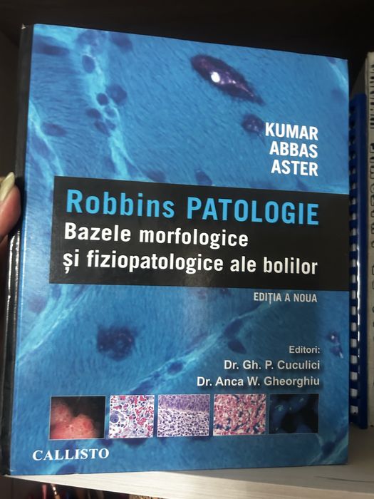 Robins Patologie
