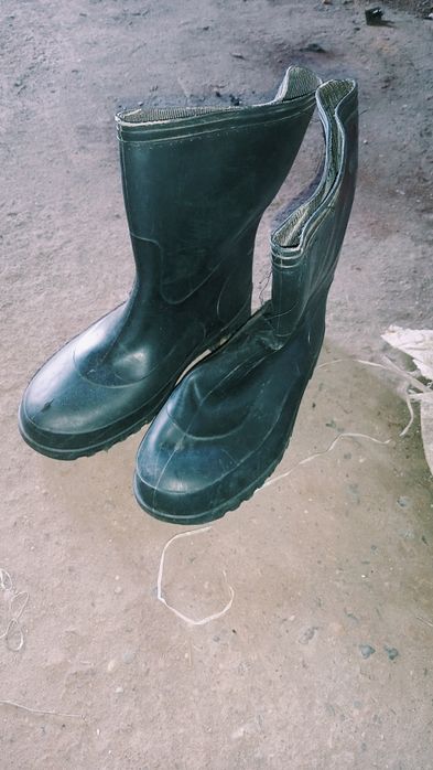 Резиновые сапоги