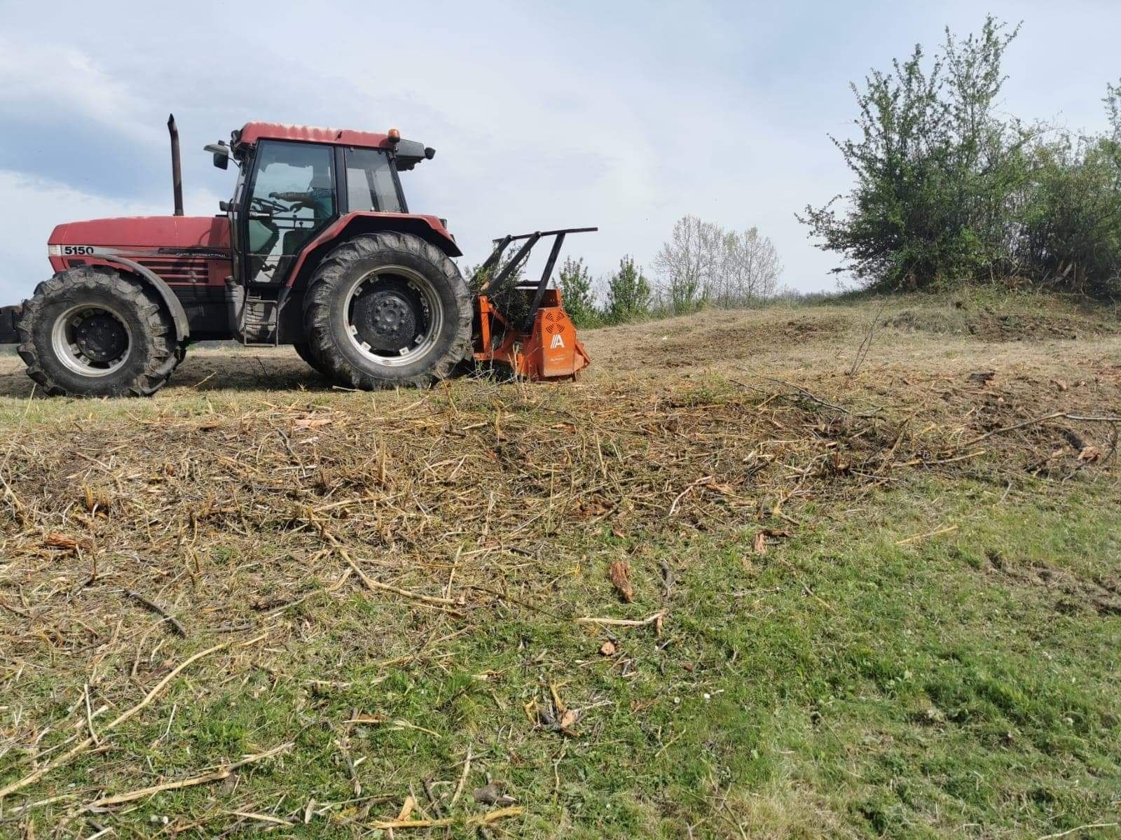 Înființări plantații la cheie, defrișări plantații, reconversie. ZMD
