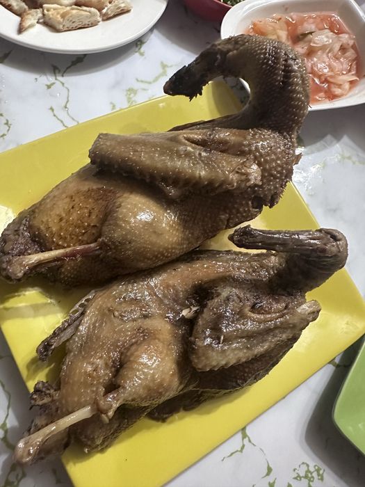 Yovvoyi o’rdak fazan tustovuq quyon go’shtlari. Дич. Dich