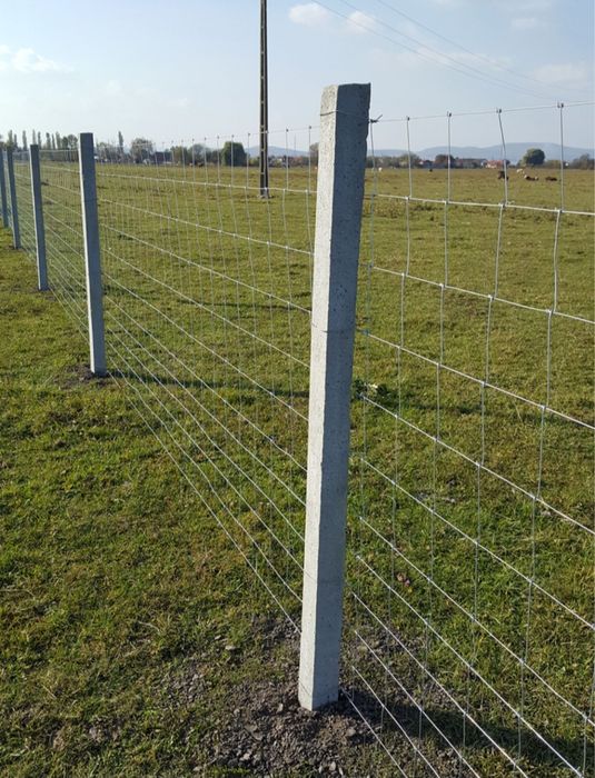 Gard oferta luna aceasta