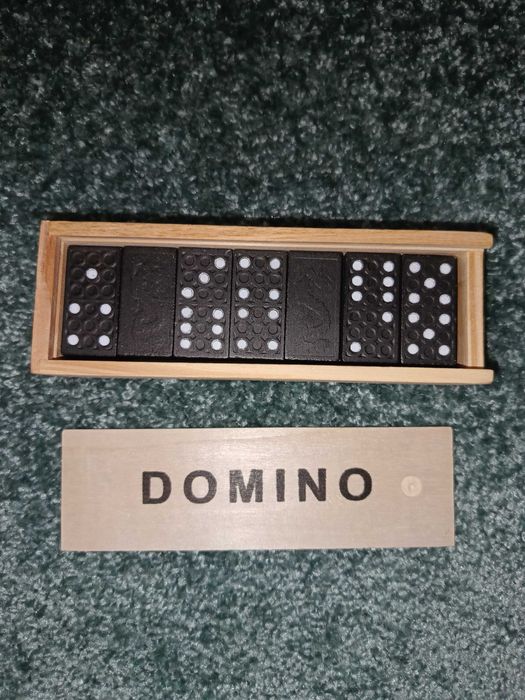 Domino pentru copii și adulți