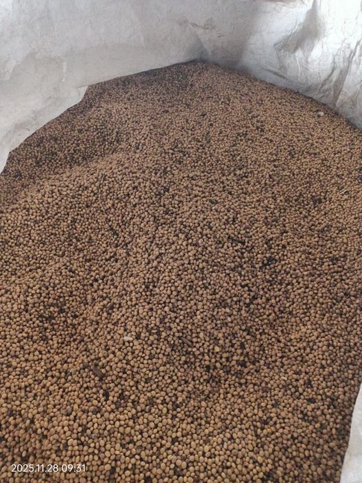 Vând SOIA producție 2025