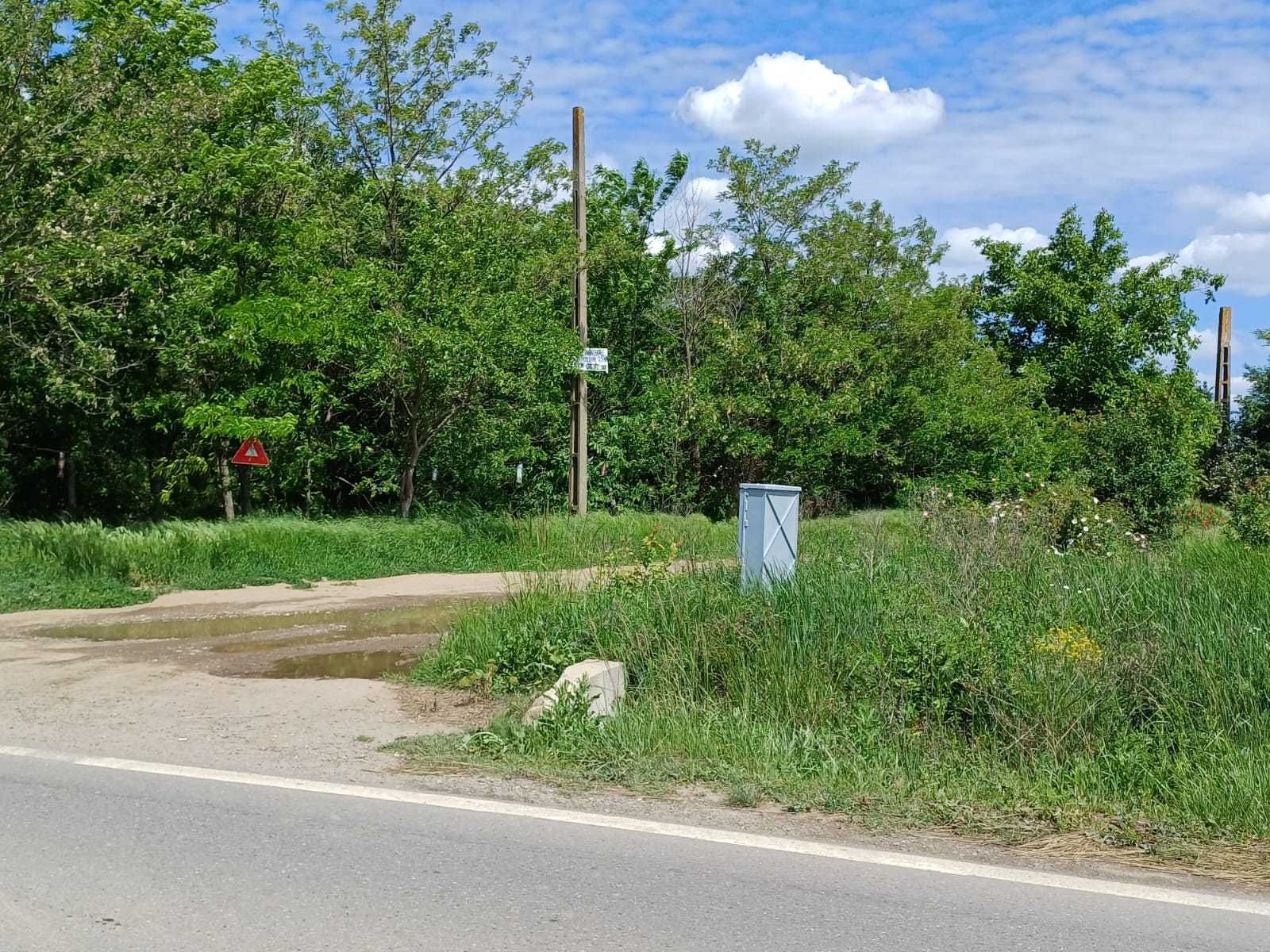 Proprietar | Teren 5065 mp cu pădure. la 800 m de autostrada A0