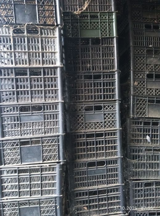 Яшик ва узум олма анор учун флекалар сотилади