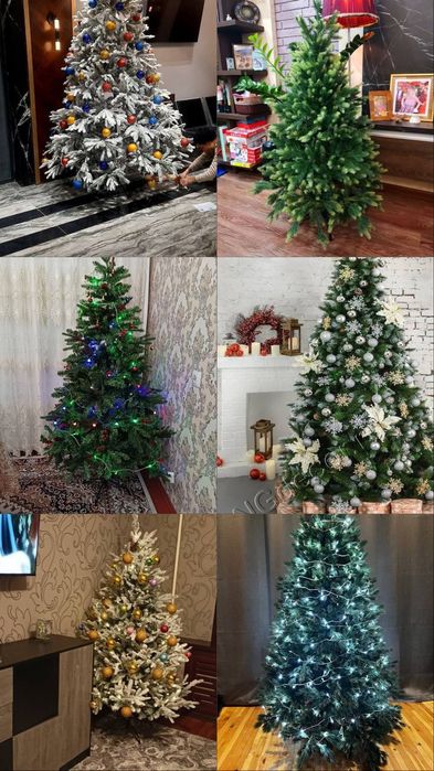 Ёлка. Ёлки в ассортименте