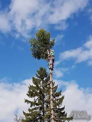 Косене на трева  .Почистване на терени от храсти .Извозване.