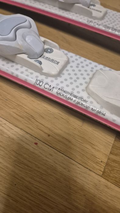 Ски Rоssignol.   .