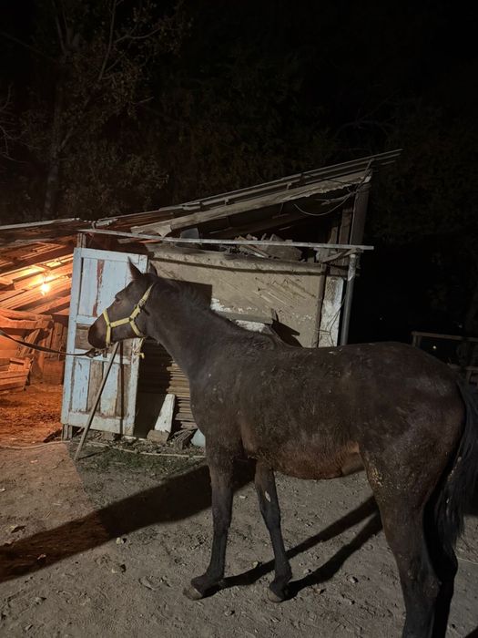 Срочноо продается!!!