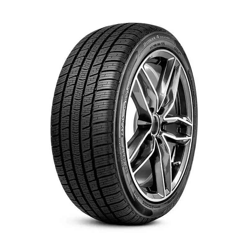 гуми Radar Dimax 4 Season 225/55R17