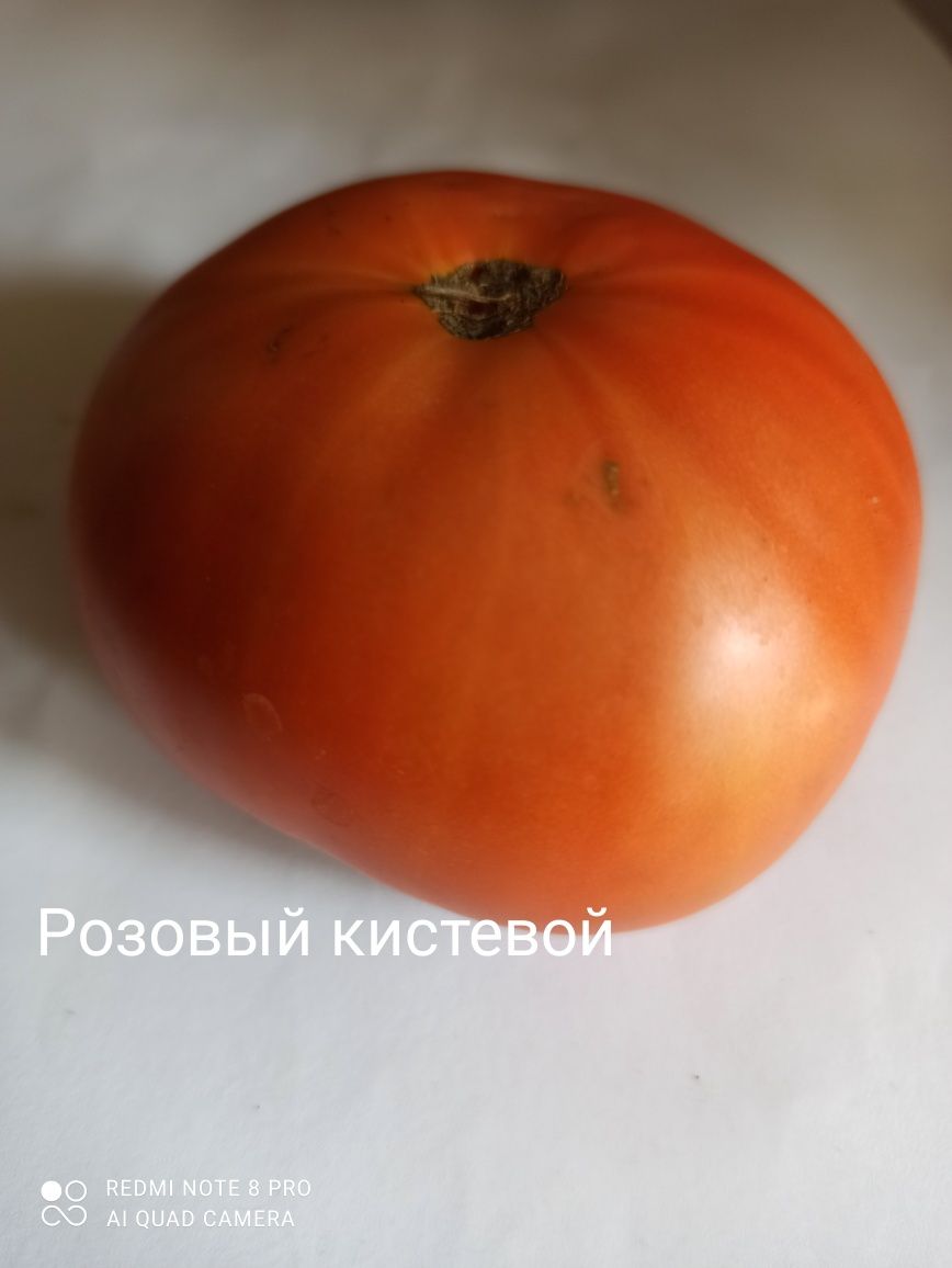 Сортовые помидоры