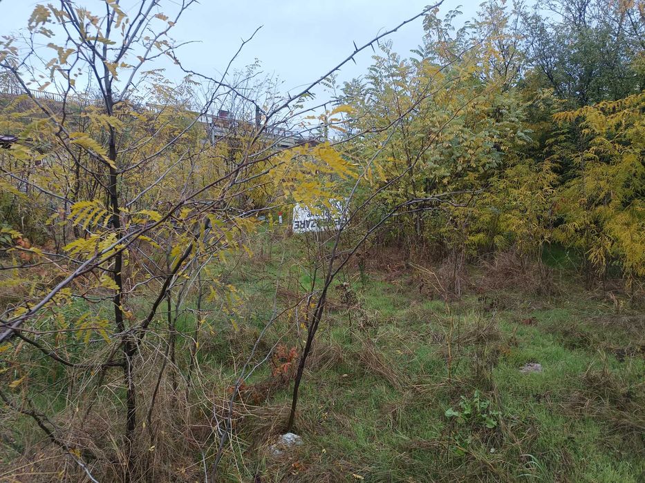 Teren intravilan 2200mp Cosoveni