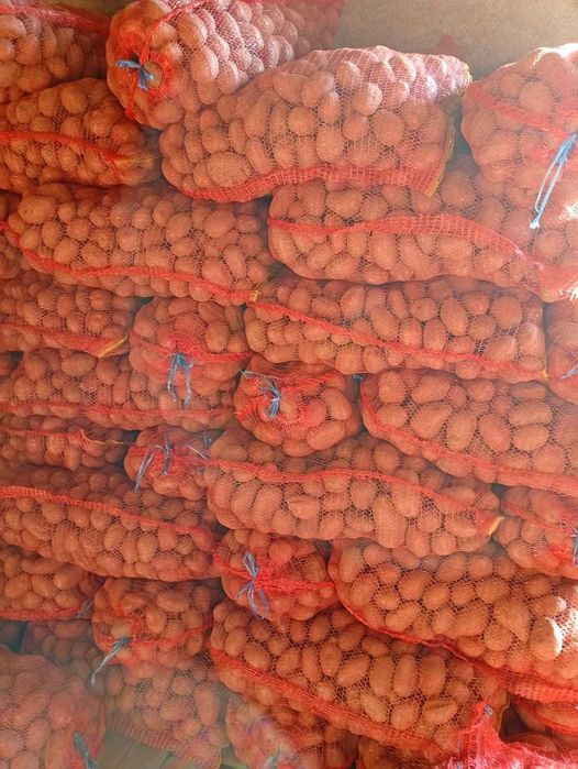 Cartfi alb de consum